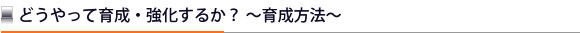 どうやって育成・強化するか？～育成方法～